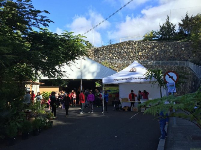 Feria de Tijarafe.jpg