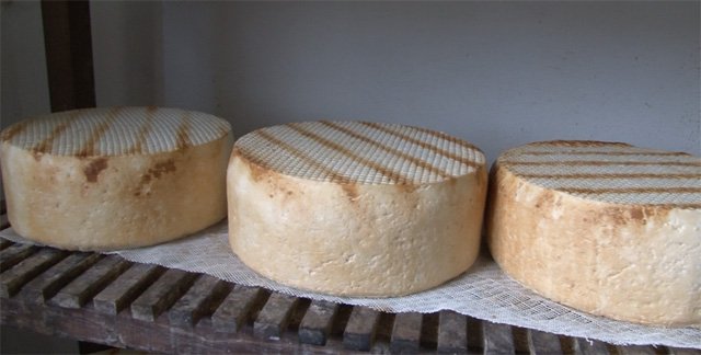 queso2.jpg
