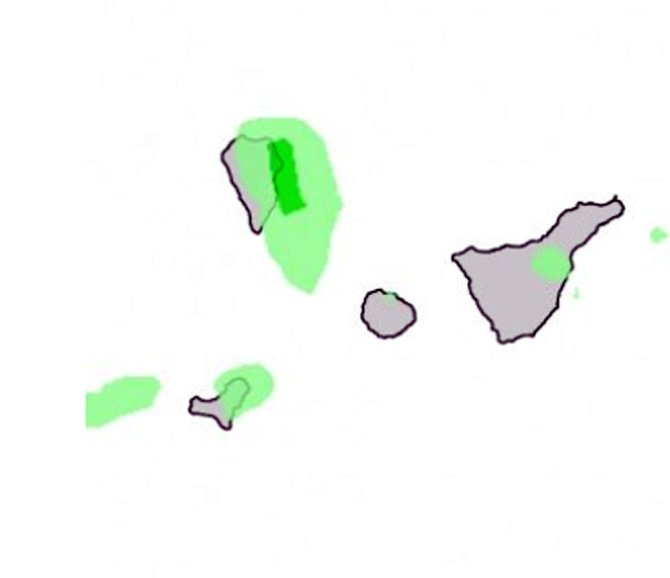 Sin título-1.jpg