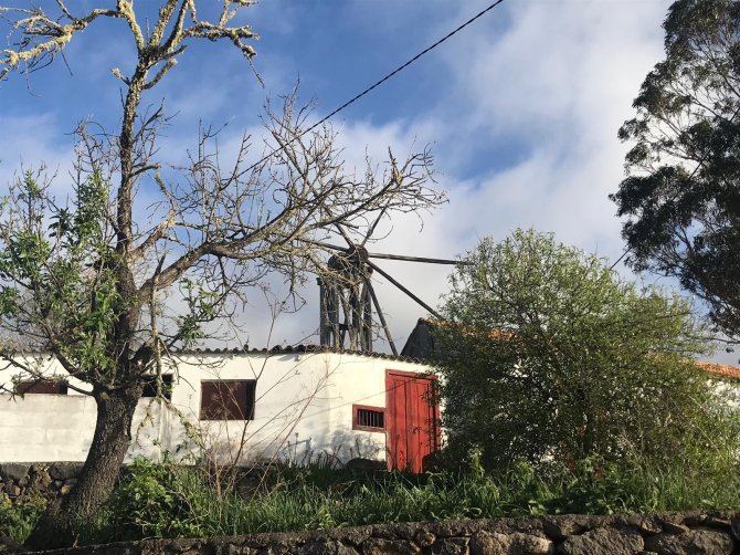 Molino de El Roque 1.jpeg