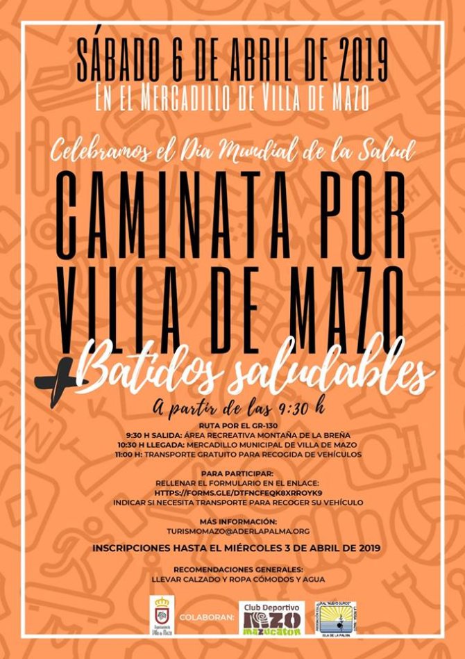 Caminata Día Mundial Salud.jpg