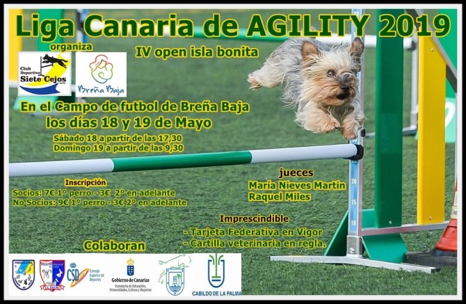 Agility-19-LigaCanaria-Cartel.jpg