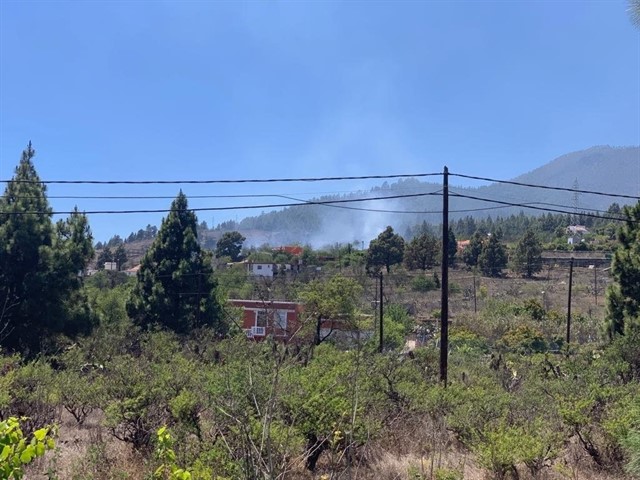 Imagen Cabildo Insular de La Palma