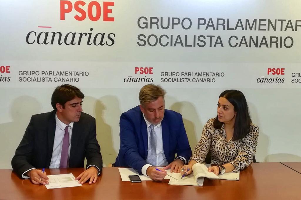 DIPUTADOS LA PALMA.jfif