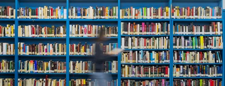 Biblioteca_Los_Llanos.jpg