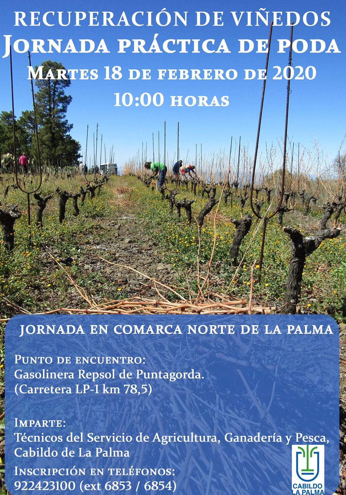 cartel poda viñedo puntagorda.jpg