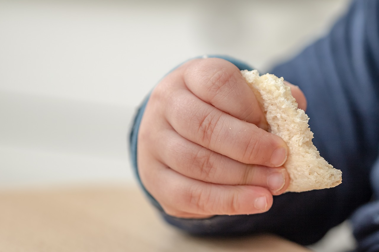 toddler-hand-4055612_1280.jpg