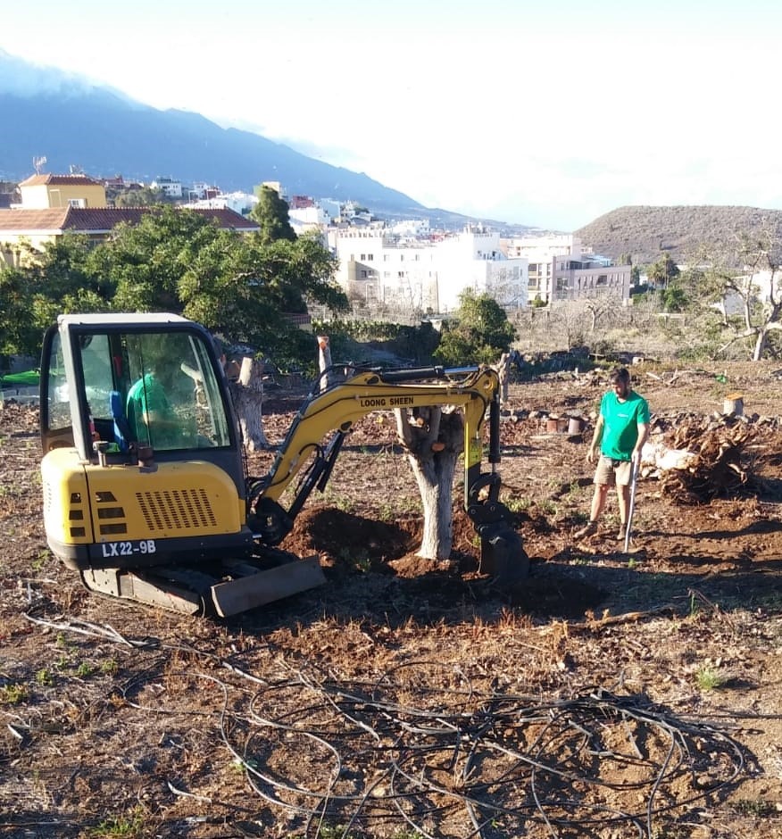 acondicionamiento_nuevos_huertos.jpg