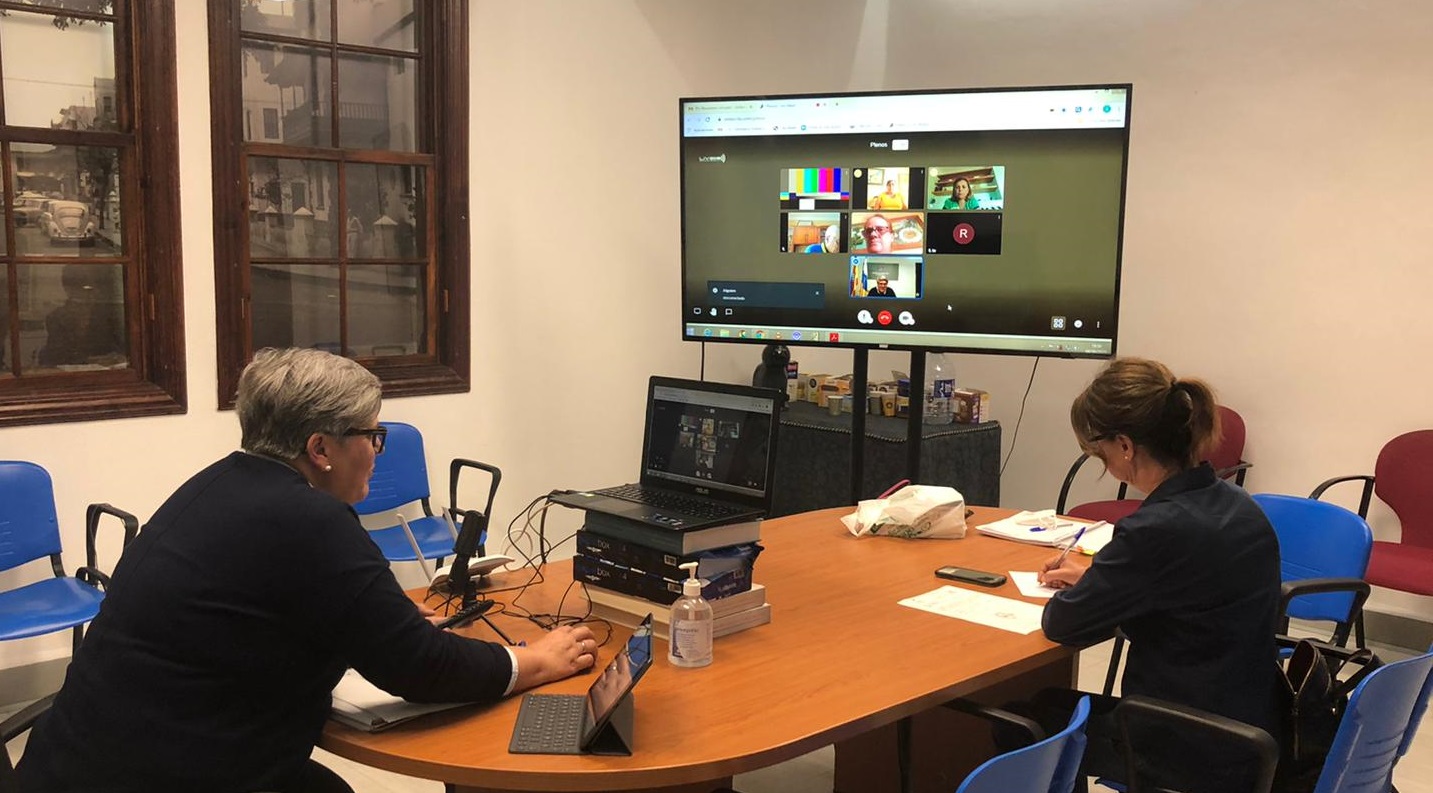 Reunión_telemática_Consejos_Barrios.jpg
