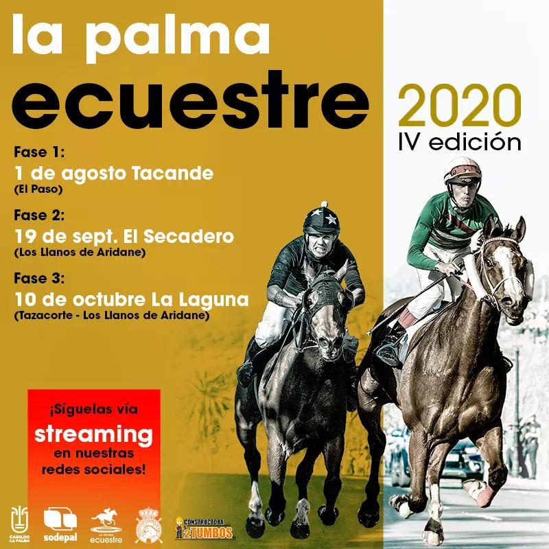 Cartel La Palma Ecuestre Julio 2020.jpeg