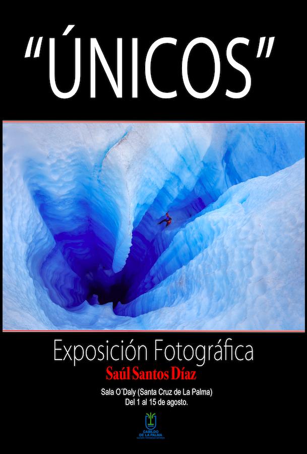 Cartel Saúl Santos.jpg.png