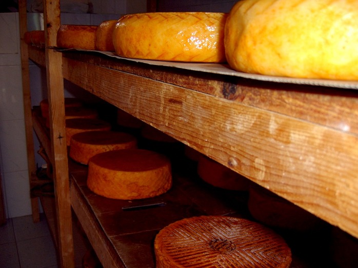 Queso de cabra majorero con DOP.jpg