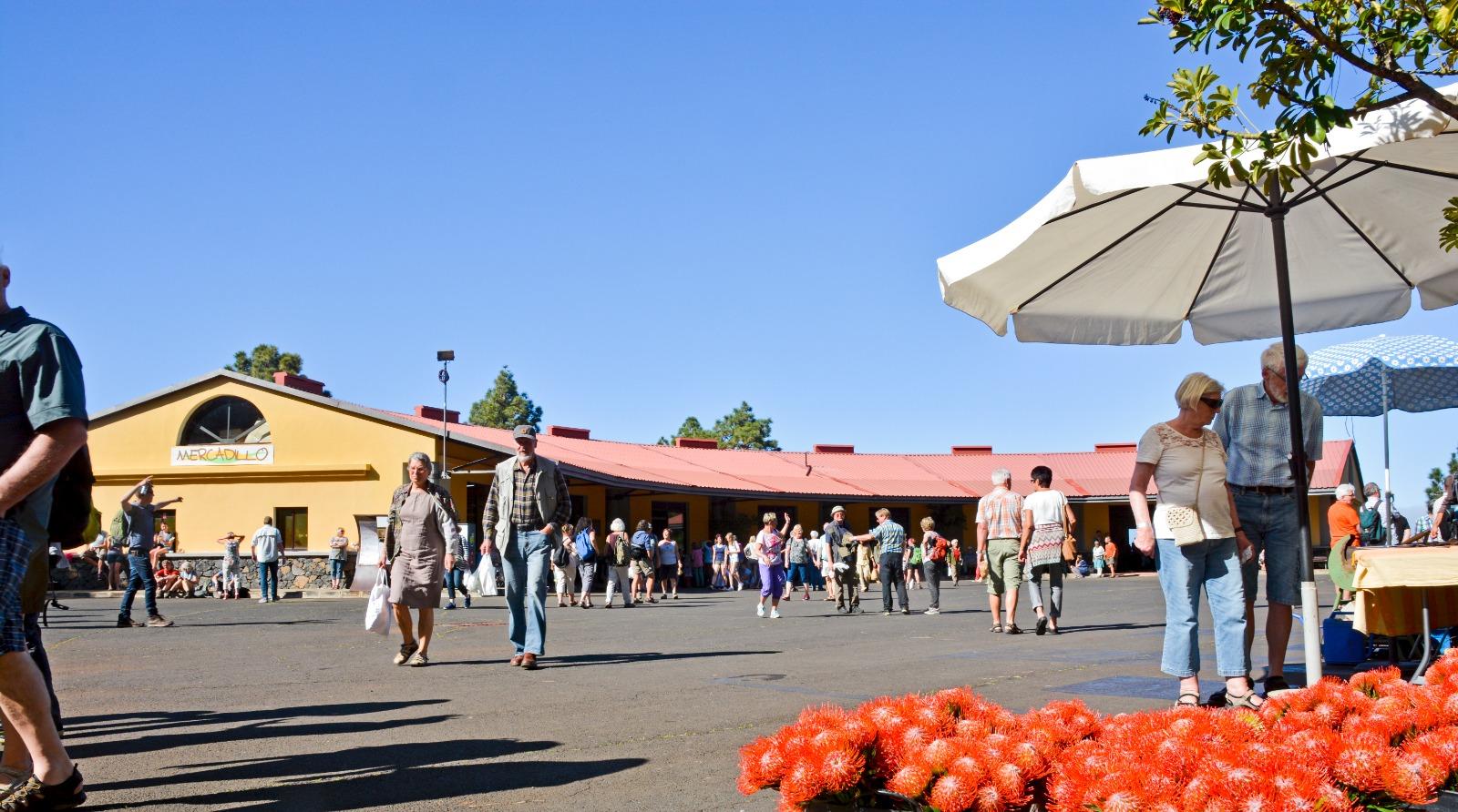 mercadillo puntagorda definitivo.jpeg