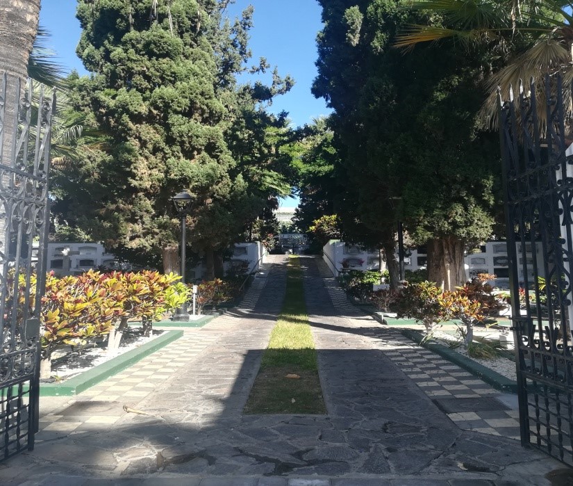 tazacorte.jpg