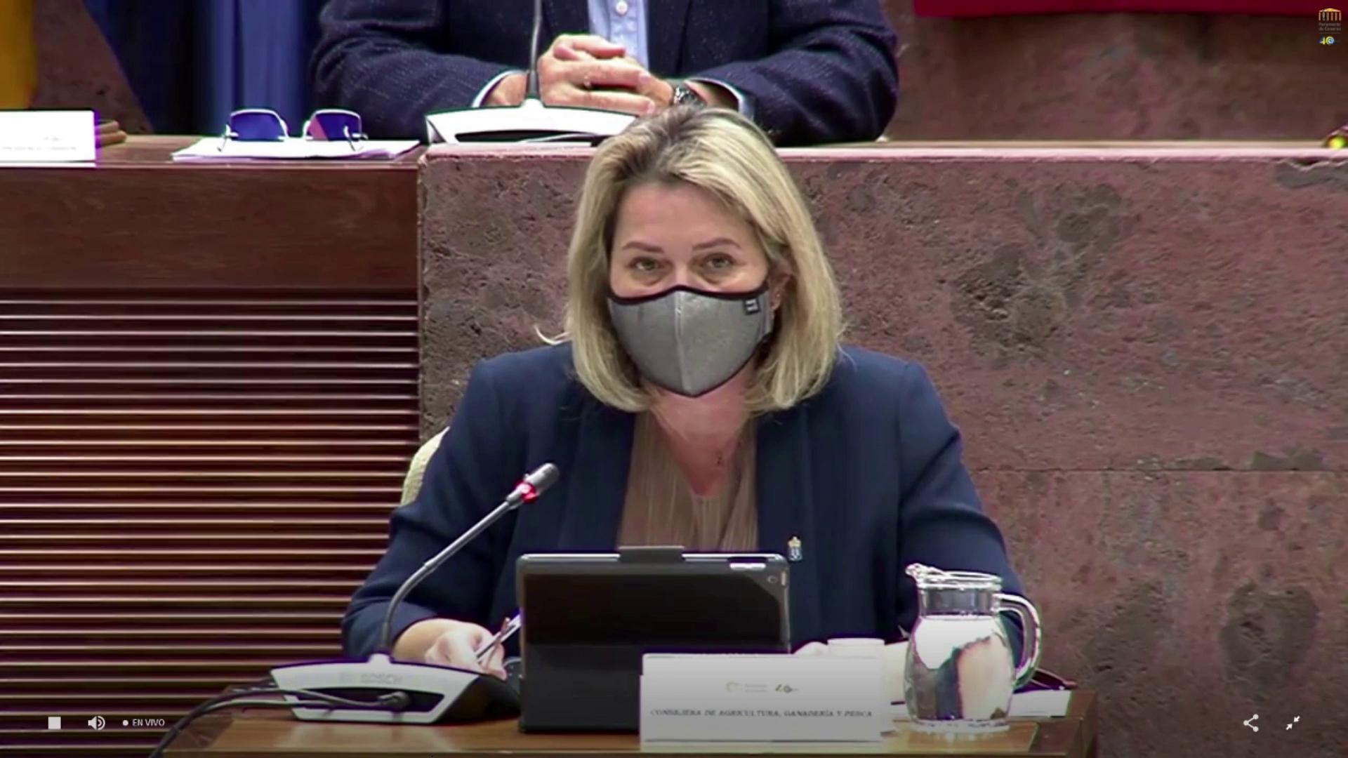 Comisión Parlamento.png