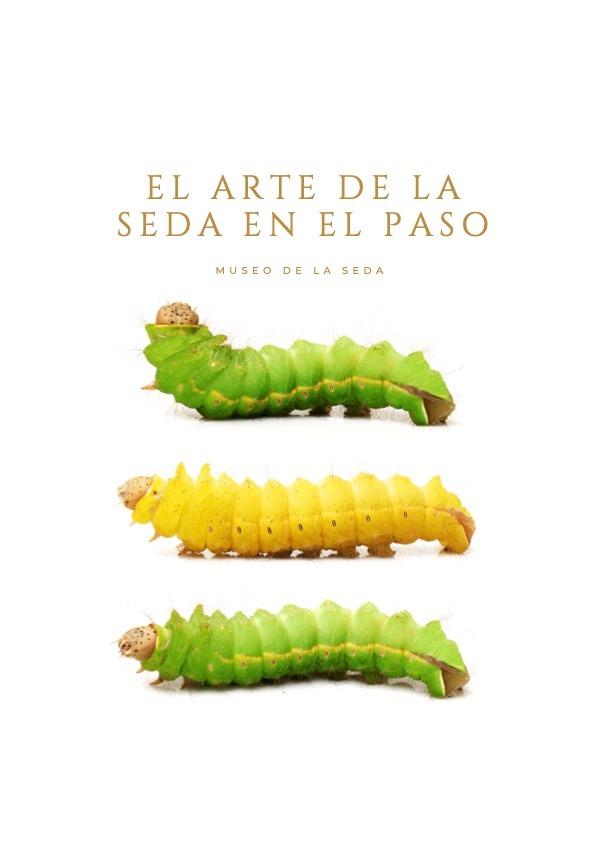 imagen museo gusanos de seda.jpeg