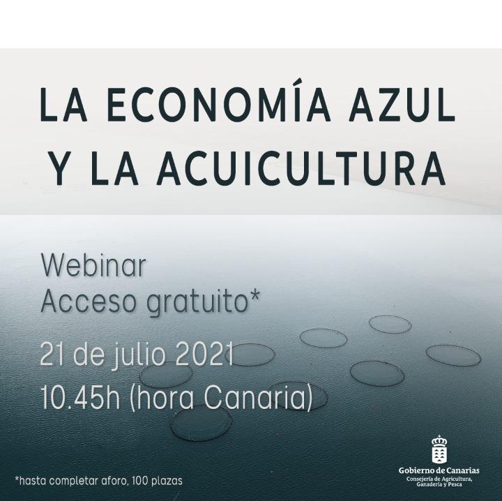 Cartel webinar.jpeg