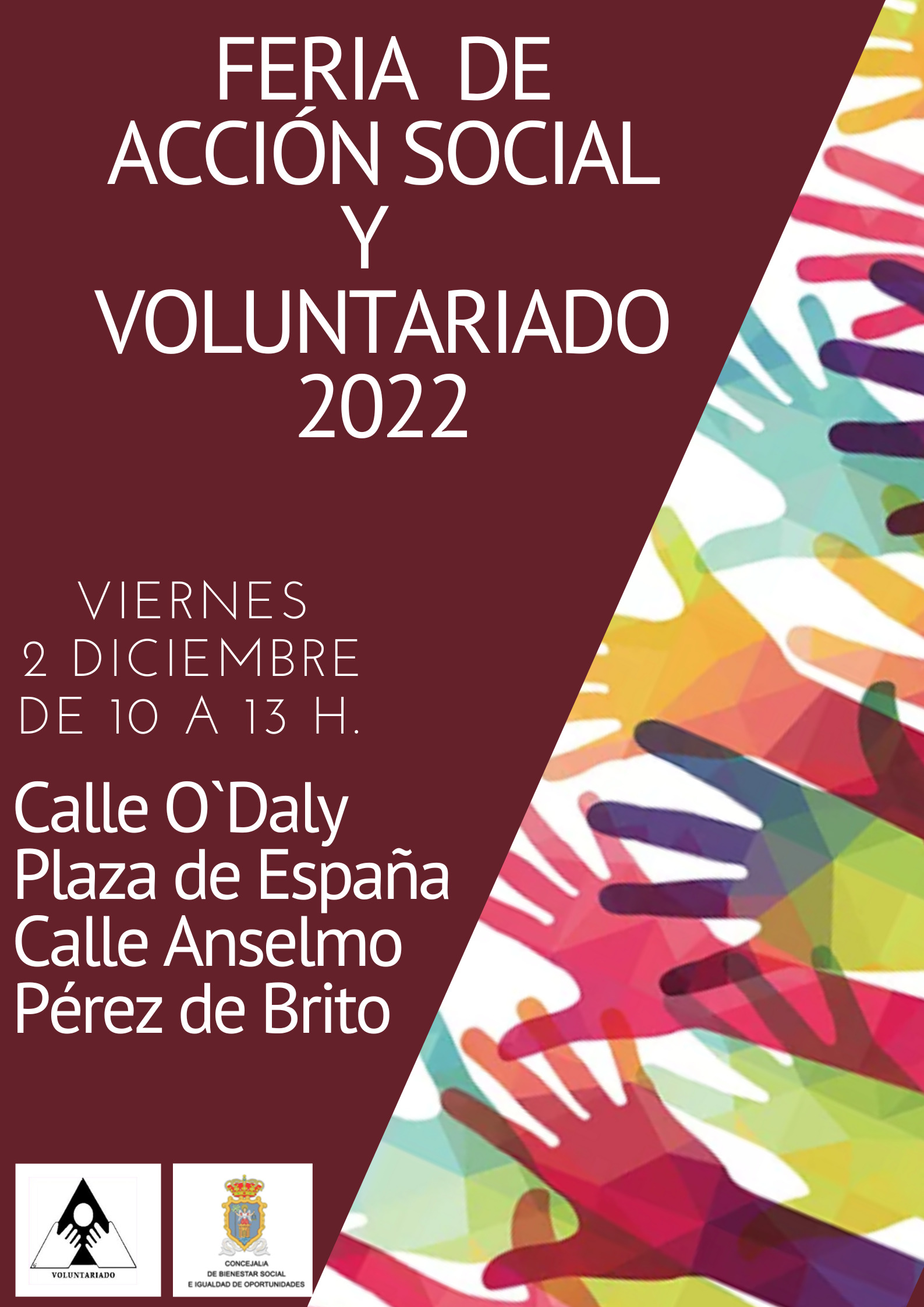 CARTEL-VOLUNTARIADO-2022 (1).jpg