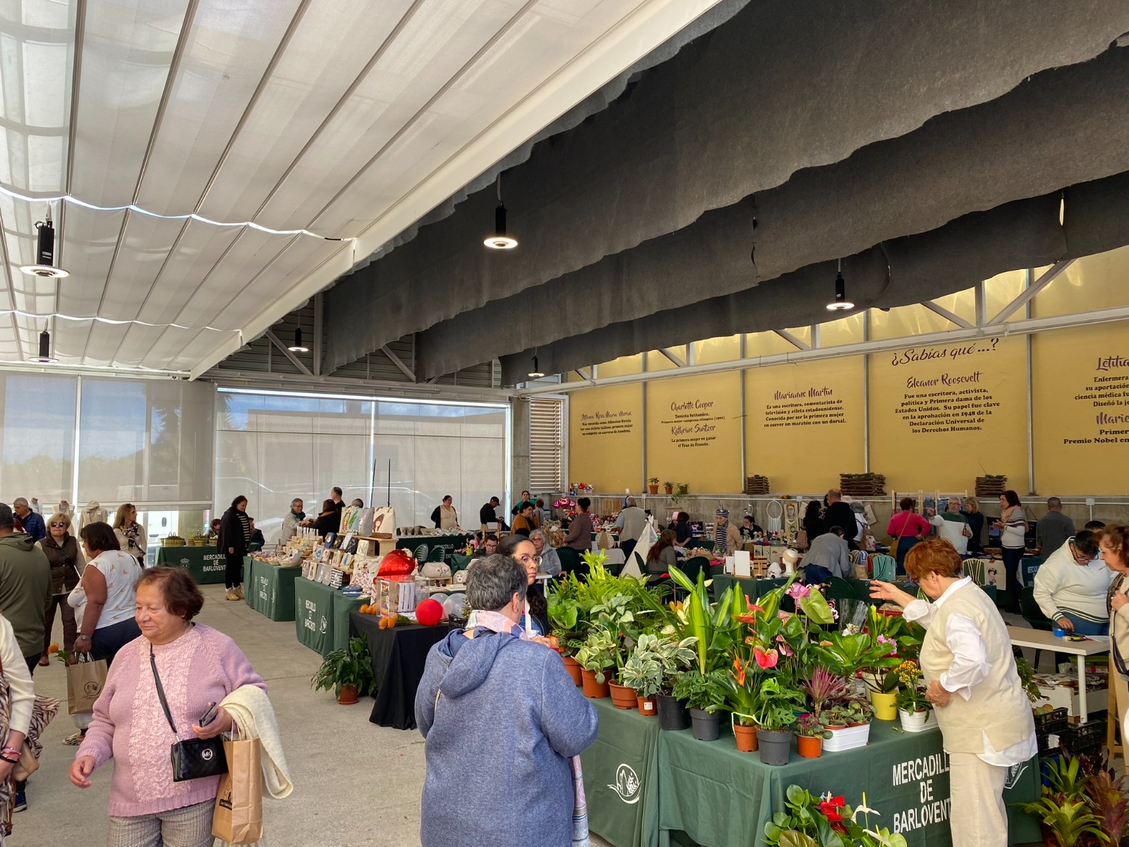 Mercadillo de Barlovento.jpg