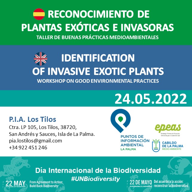 Cartel_Taller_24_Mayo_Los_Tilos.jpg