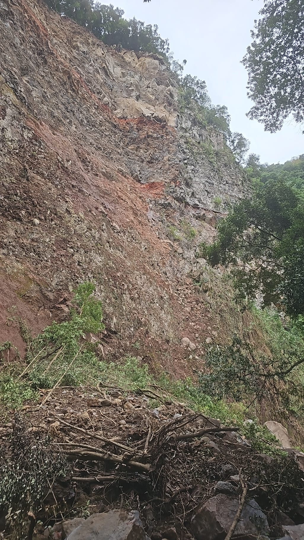 Desprendimiento Los Tilos (1).jpg