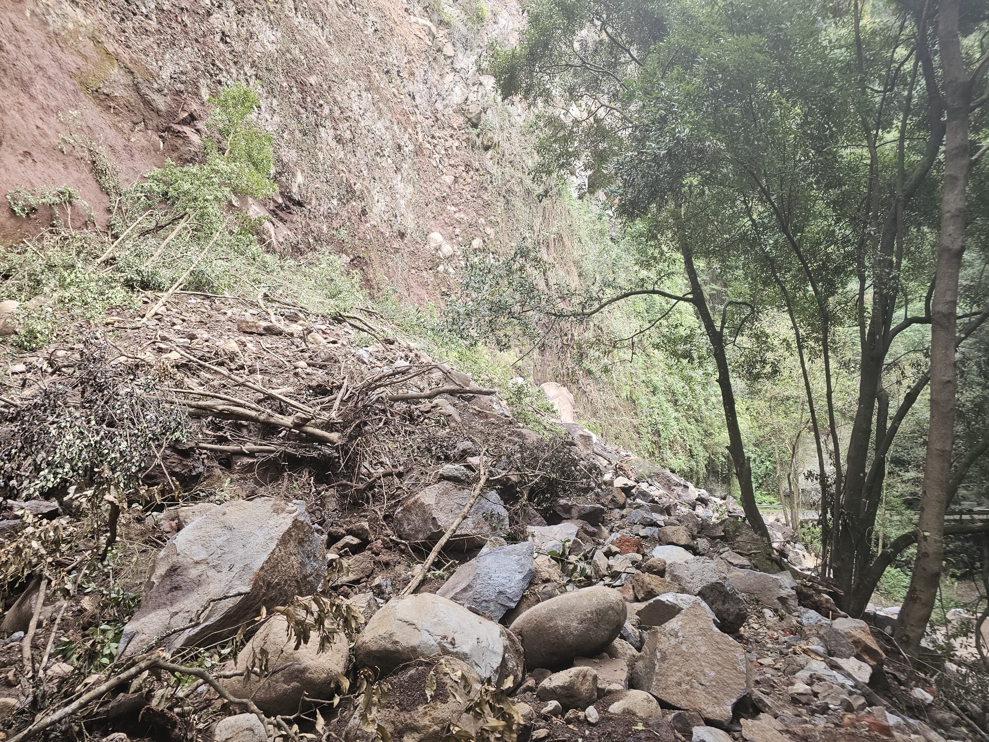 Desprendimiento Los Tilos (2).jpg