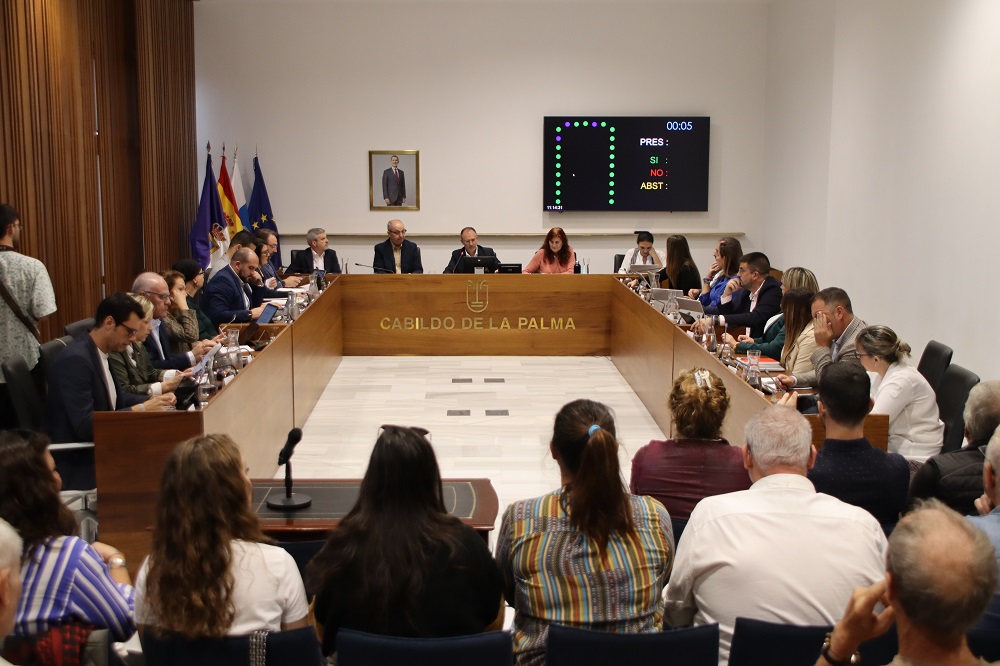 Pleno Ordianario 0912022024.jpg