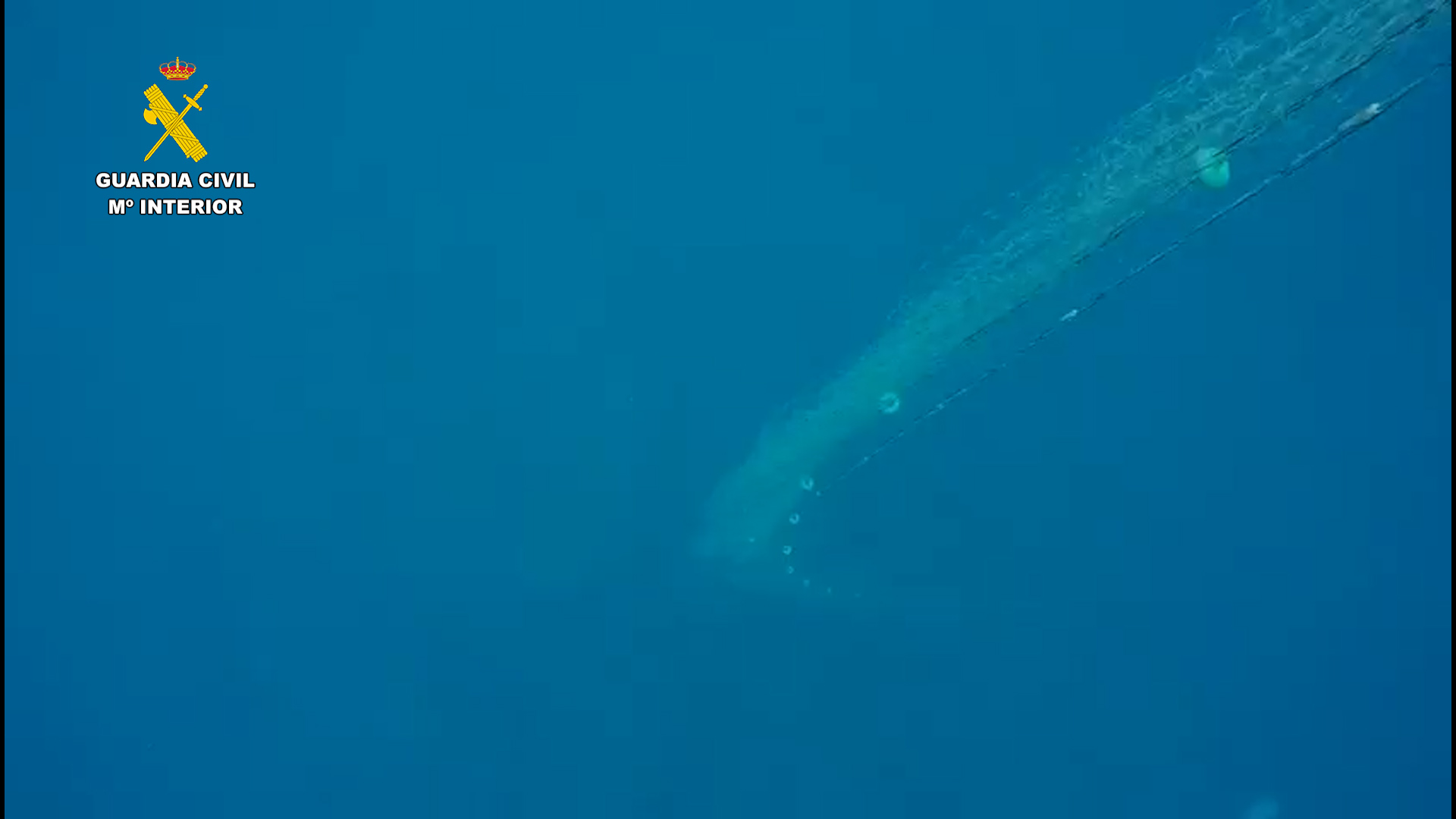 Pesca_ilegal-editada_5.jpg