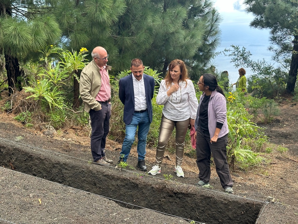Excavación en La Palma.jpg