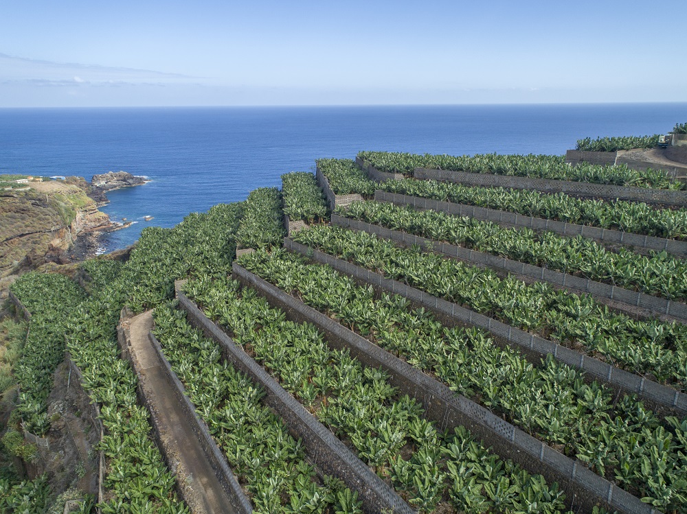 DJI_0330.jpg