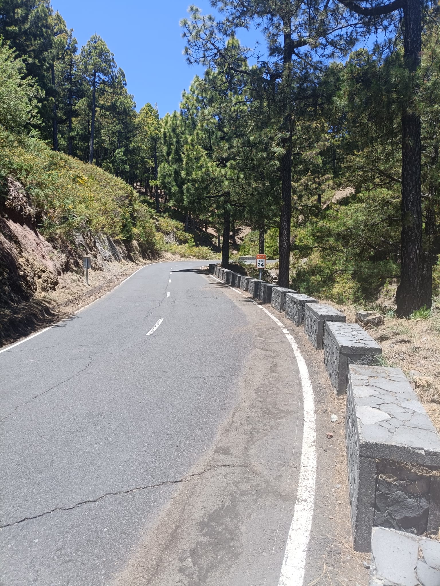 Limpieza de Carreteras LP-4.jpg