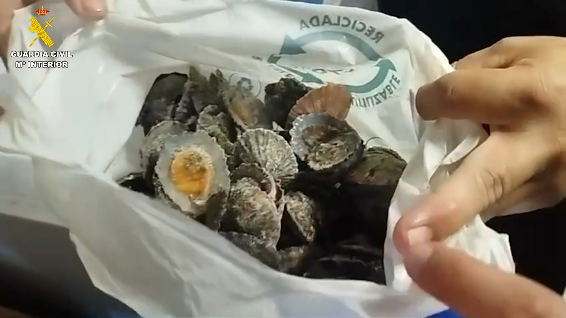 foto 1.jpg
