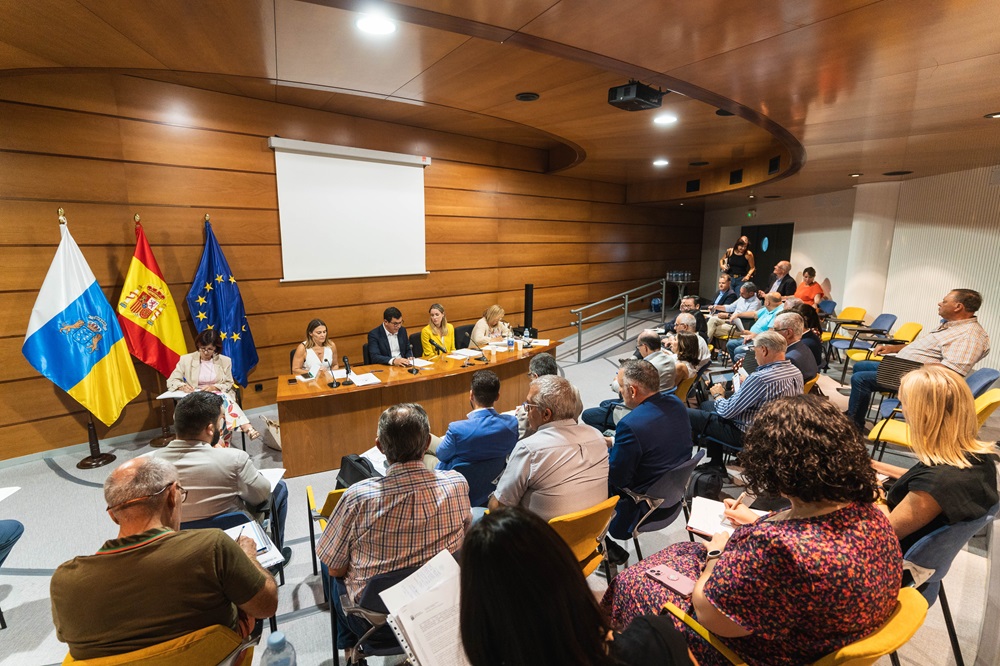 El Pleno de la Mesa del Transporte Terrestre insta al Estado a asumir el coste íntegro de la gratuidad de las guaguas.jpg