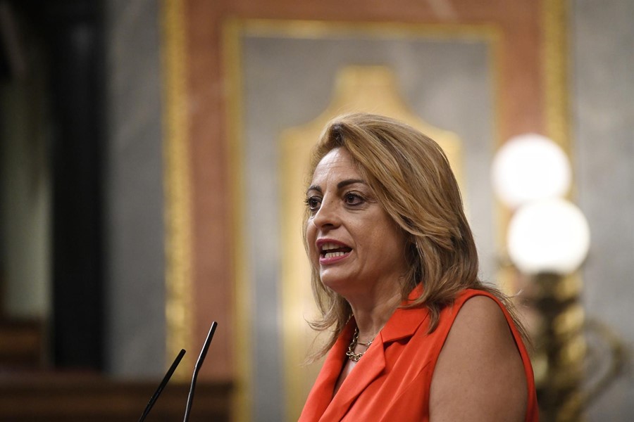 pleno 17 julio 2024.jpg