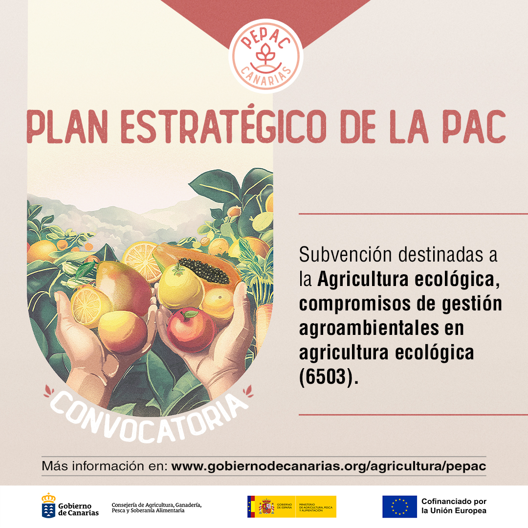 1080x1080px_06_CONVOCATORIA_agricultura-ecológica.jpg