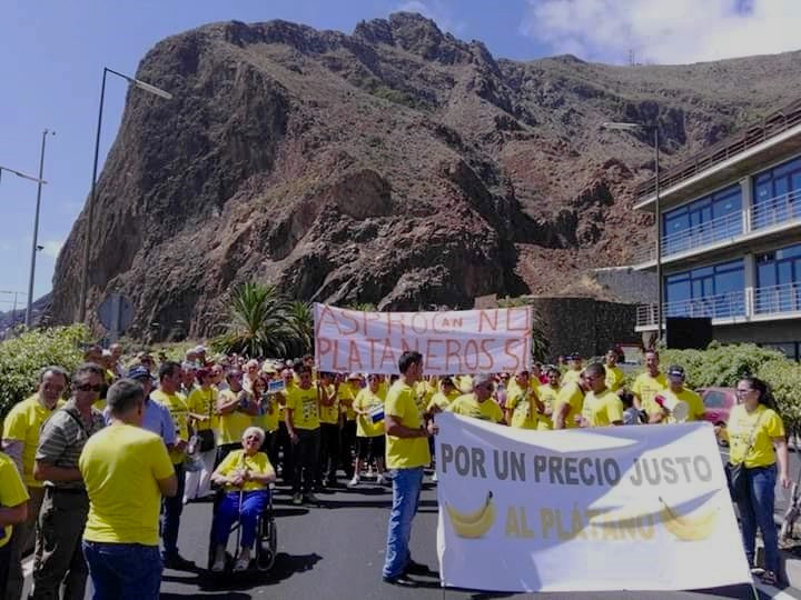 plátanos cnarios en un supermercado (2).jpg