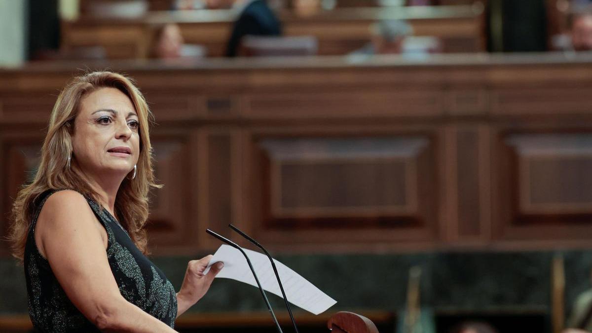 Cristina Valido en Congreso de los Diputados.jpg