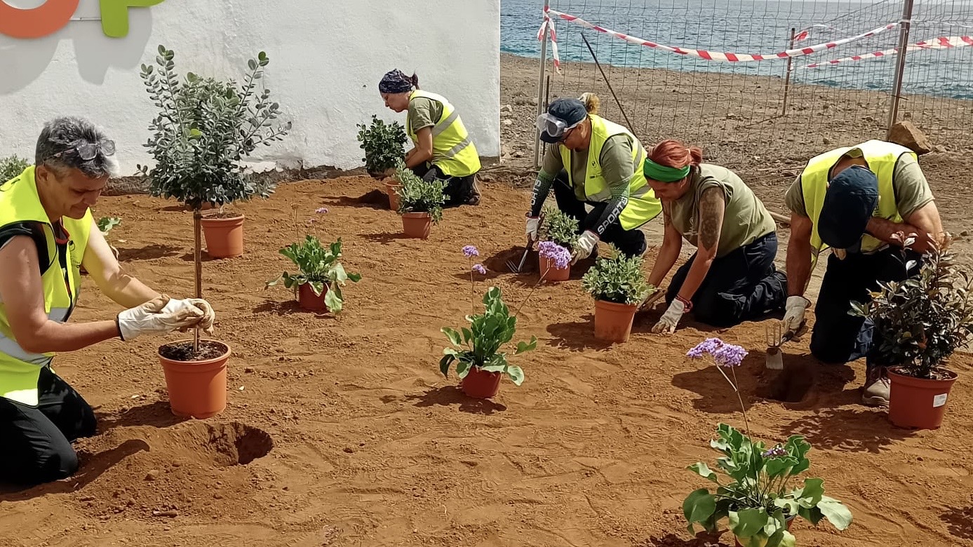 Detalle de un instante del trabajo realizado por algunas de las personas del equipo PFE Otra Vez Verde de Santa Cruz de La Palma