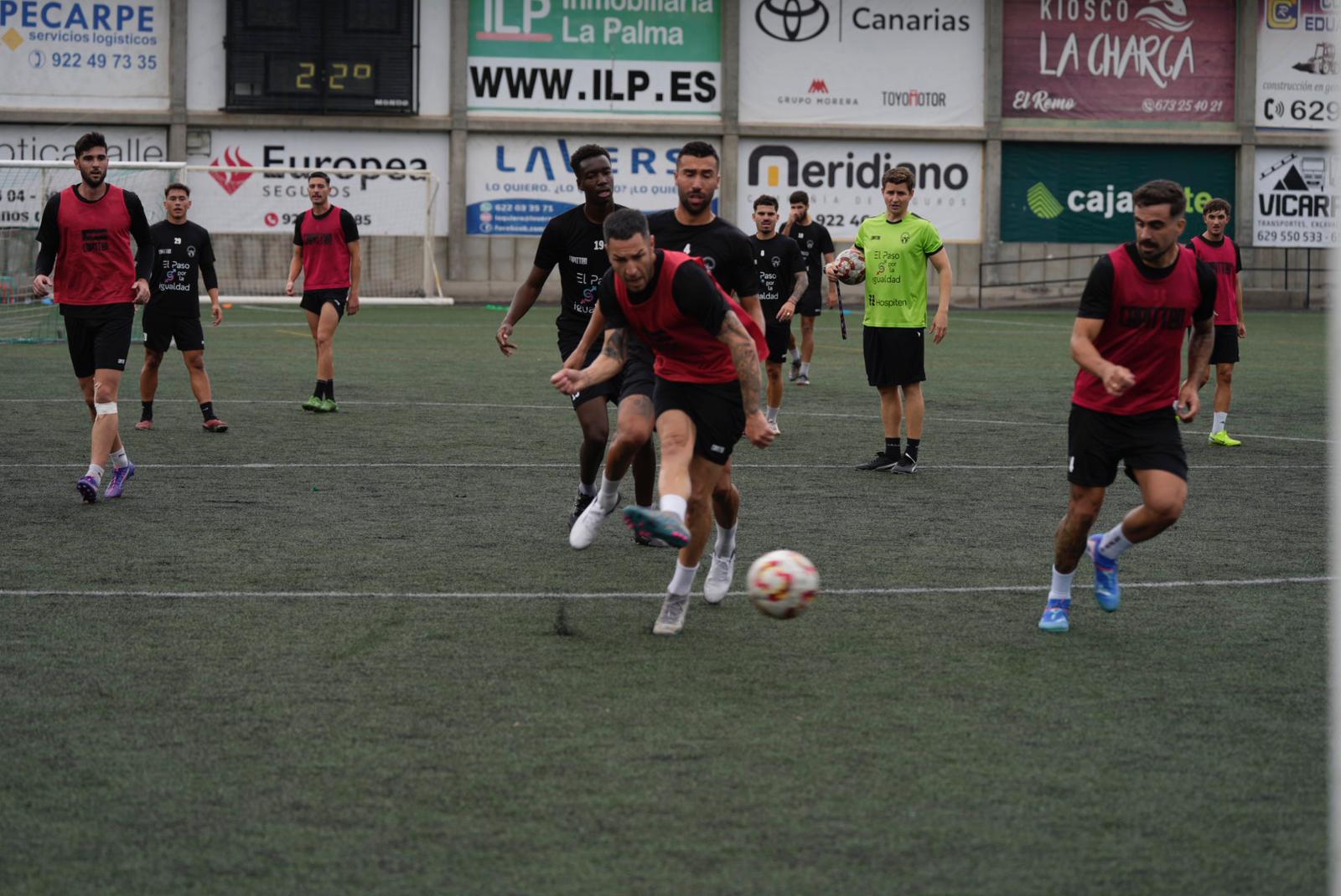 previa j14.jpg