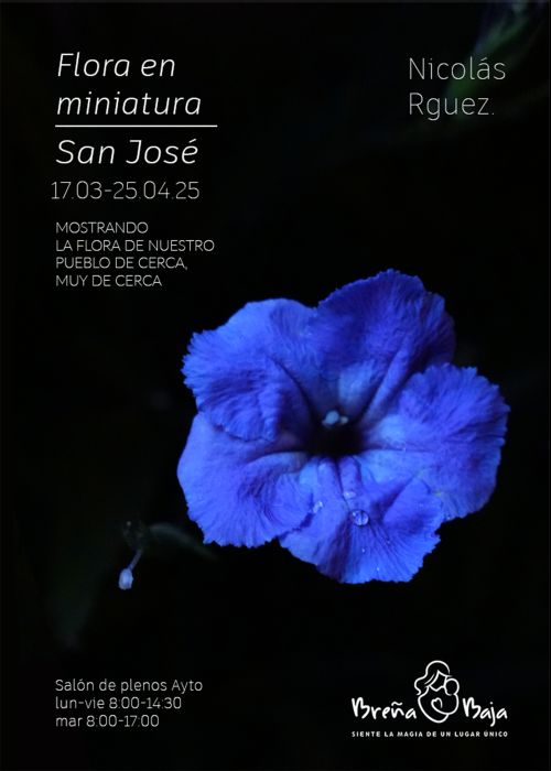 W-Nicolas-25-Expo-Flora-Cartel.jpg