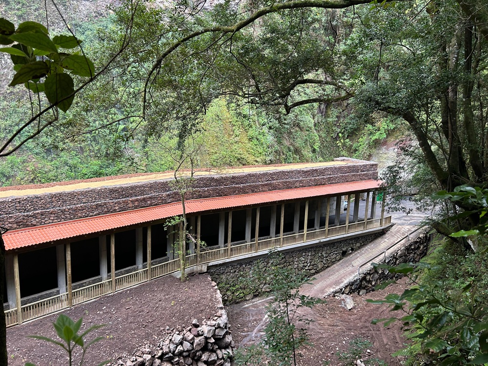 Los Tilos 3.jpg
