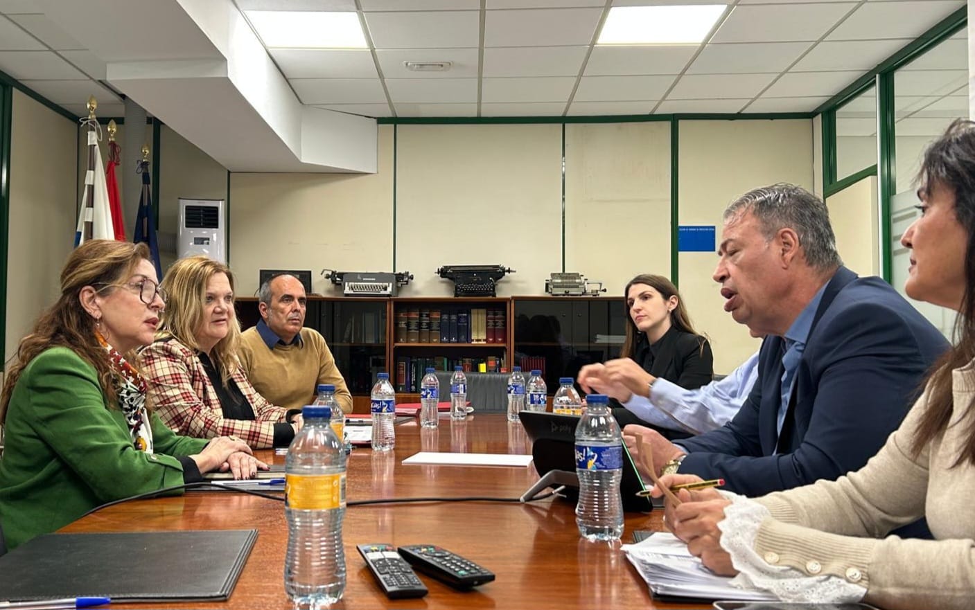 Reunión ICAVI - Diputación del Común -Febrero.jpg