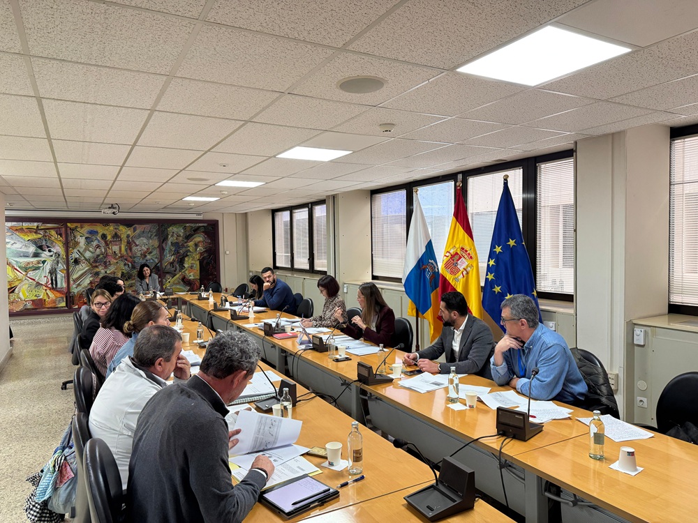 El Ejecutivo refuerza la coordinación con cabildos y Estado para agilizar la financiación de la gratuidad del transporte 2.jpeg
