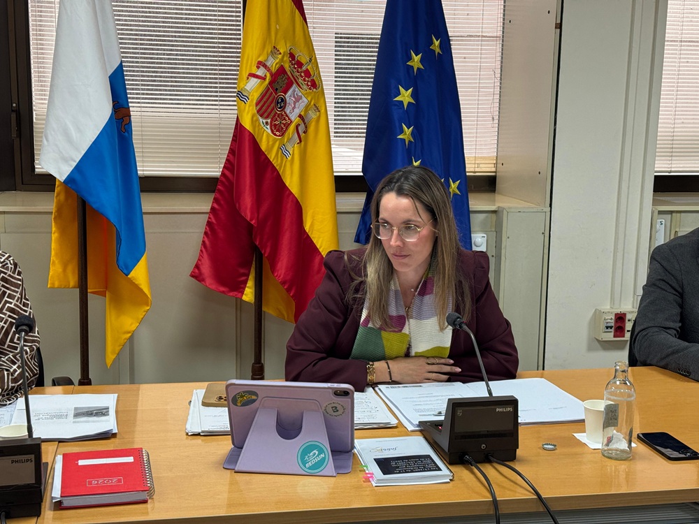 El Ejecutivo refuerza la coordinación con cabildos y Estado para agilizar la financiación de la gratuidad del transporte.jpg