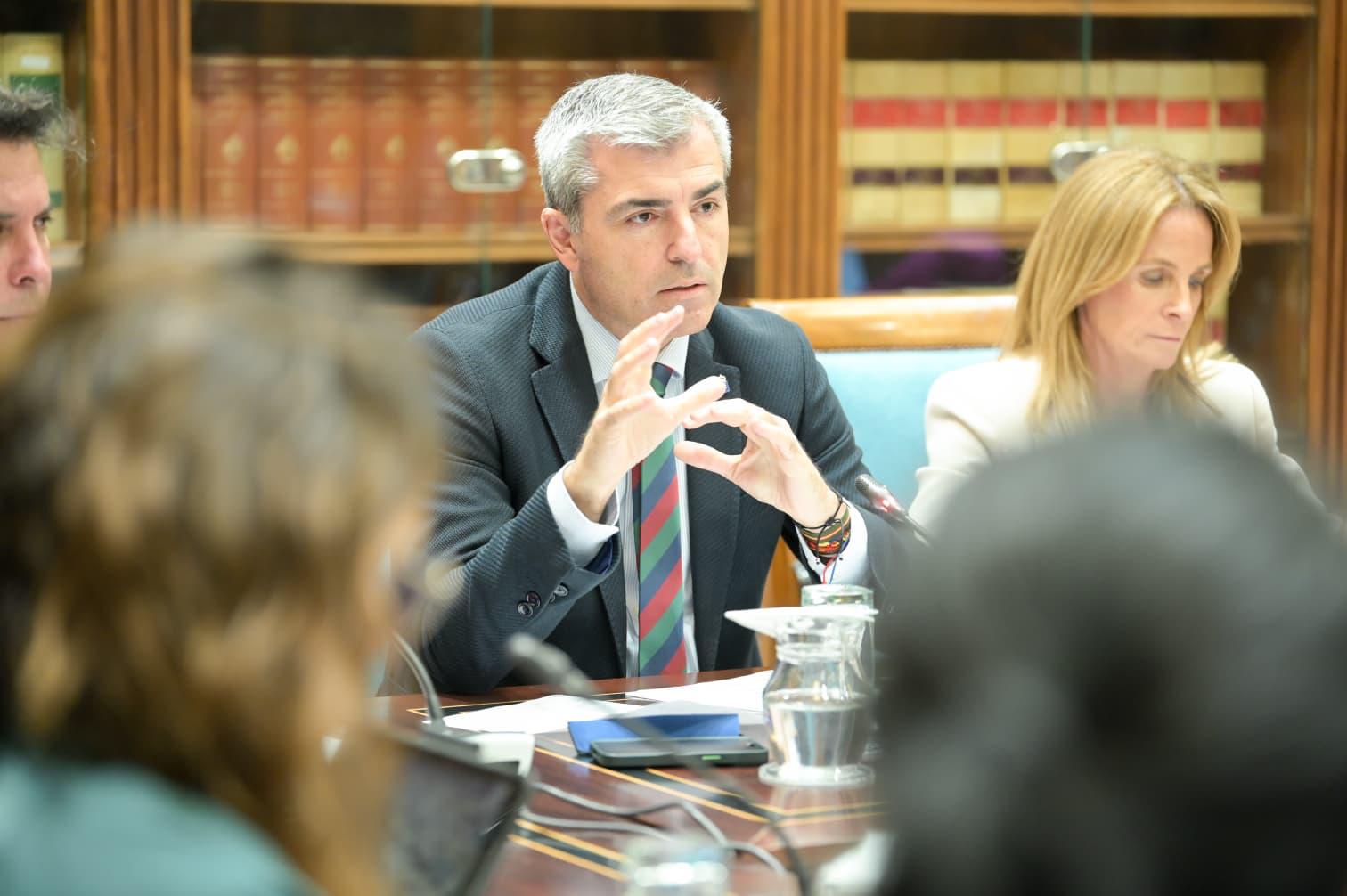 El vicepresidente del Gobierno de Canarias durante la comision de hoy.jpg