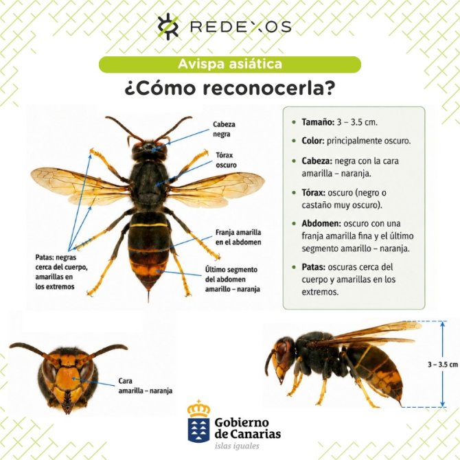 fichero_58150_20260521.jpg