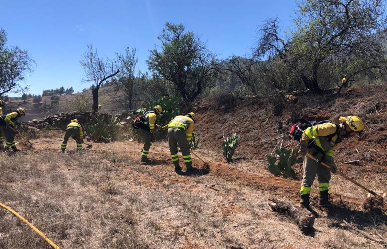 Imagen del Cabildo Insular