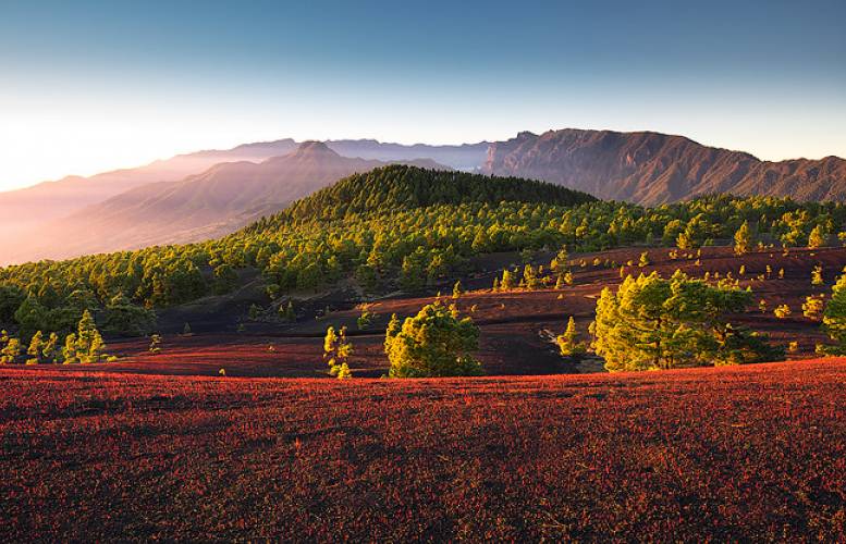 foto dominic Dänhke