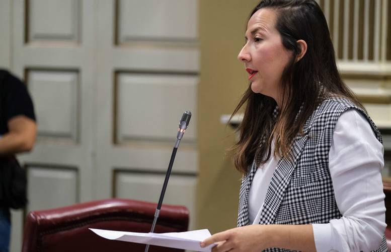 Lorena Hernández Labrador, diputada del PP por la isla de La Palma y portavoz de la Comisión de Educación, Universidades, Cultura y Deporte