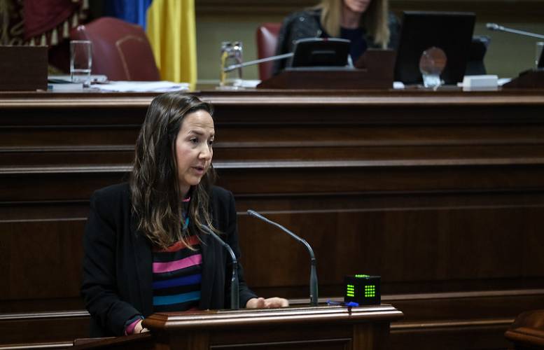 Lorena Hernández Labrador, diputada del PP por la isla de La Palma